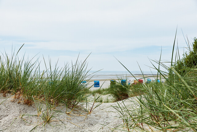 Blick aufs Meer und den Strand von den Dünen aus