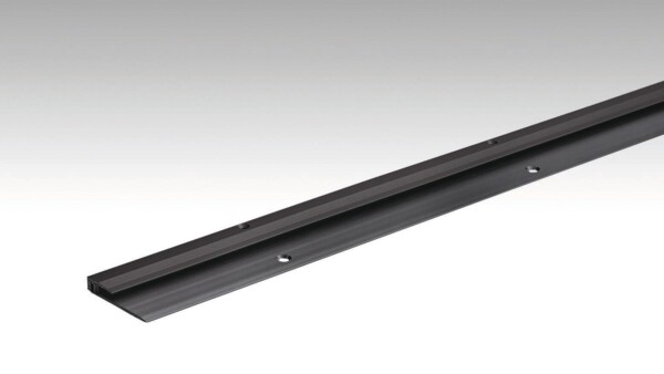 Profilé de finition Type 101 (de 2,5 à 7 mm) Noir anodisé 2510