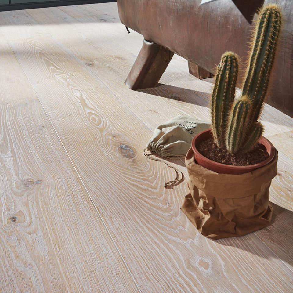 Weißer Lindura-Holzboden und ein Kaktus