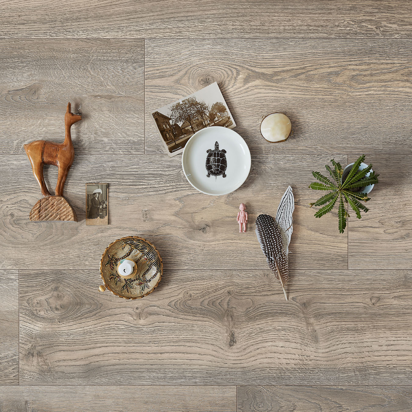 Click Laminate From Meister A Down To Earth Floor